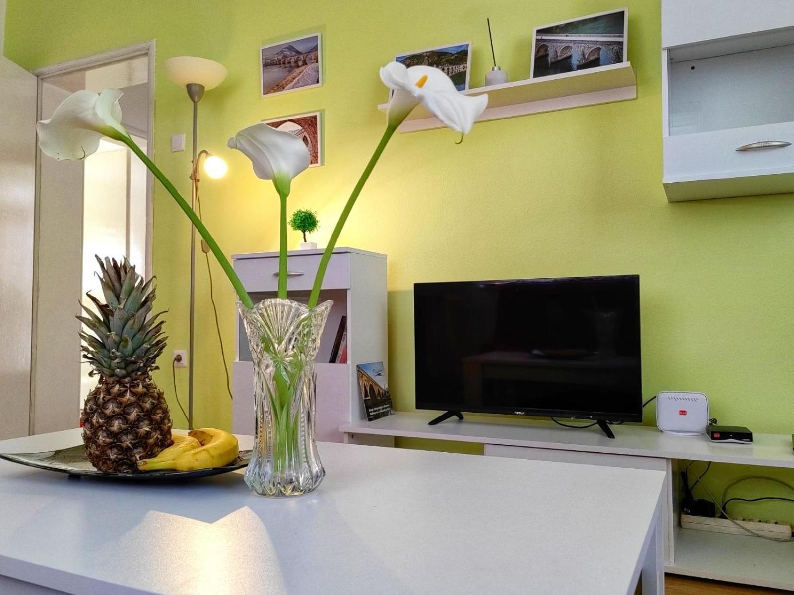 Apartman Lola Visegrad Bagian luar foto
